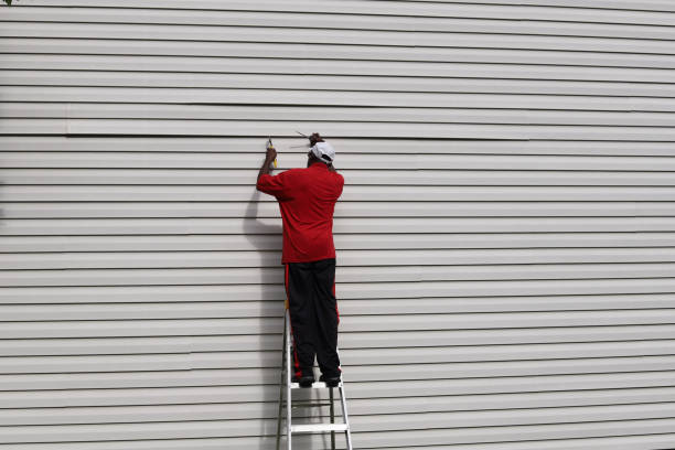 Best Siding Maintenance  in USA